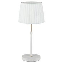 Raidan Adjustable Table Lamp